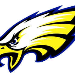 DRG Sports St Peters High School Series Gloves